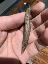 Load image into Gallery viewer, Old Cambodia agarwood for collection - uthaiagarwood