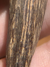 Load image into Gallery viewer, Old Cambodia agarwood for collection - uthaiagarwood