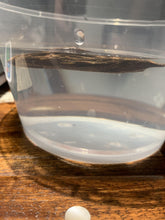 Load image into Gallery viewer, Old Cambodia agarwood for collection - uthaiagarwood