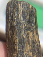 Load image into Gallery viewer, Old Cambodia agarwood for collection - uthaiagarwood