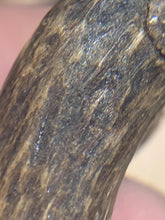 Load image into Gallery viewer, Old Cambodia agarwood for collection - uthaiagarwood