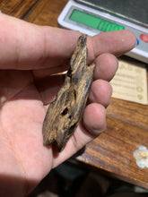 Load image into Gallery viewer, Old Indian agarwood for collection - uthaiagarwood