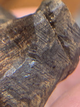 Load image into Gallery viewer, Old Indian agarwood for collection - uthaiagarwood