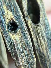Load image into Gallery viewer, Natural oud from Filipino Lyete underwater