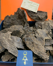 Load image into Gallery viewer, Natural oud Char shapes from Thailand Khaoyai