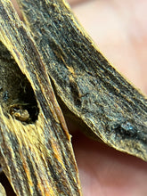 Load image into Gallery viewer, Natural oud from Filipino Lyete underwater