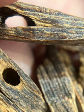 Load image into Gallery viewer, Natural oud from Filipino Lyete underwater