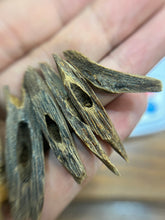 Load image into Gallery viewer, Natural oud from Filipino Lyete underwater