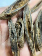 Load image into Gallery viewer, Natural oud from Filipino Lyete underwater