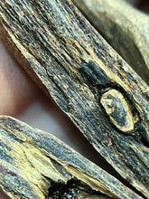 Load image into Gallery viewer, Natural oud from Filipino Lyete underwater