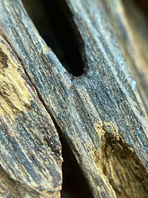 Load image into Gallery viewer, Natural oud from Filipino Lyete underwater