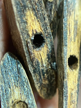 Load image into Gallery viewer, Natural oud from Filipino Lyete underwater