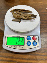 Load image into Gallery viewer, Natural oud from Filipino Lyete underwater