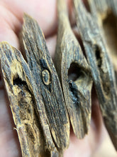 Load image into Gallery viewer, Natural oud from Filipino Lyete underwater