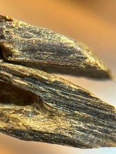 Load image into Gallery viewer, Natural oud from Filipino Lyete underwater