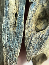 Load image into Gallery viewer, Natural oud from Filipino Lyete underwater