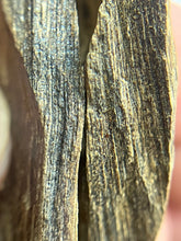 Load image into Gallery viewer, Natural oud from Filipino Lyete underwater