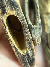 Load image into Gallery viewer, Natural oud from Filipino Lyete underwater