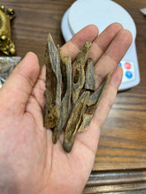 Load image into Gallery viewer, Natural oud from Filipino Lyete underwater