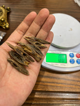 Load image into Gallery viewer, Natural oud from Filipino Lyete underwater