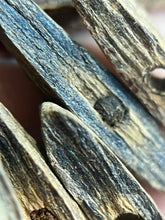 Load image into Gallery viewer, Natural oud from Filipino Lyete underwater