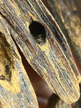 Load image into Gallery viewer, Natural oud from Filipino Lyete underwater