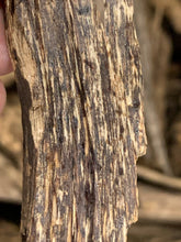 Load image into Gallery viewer, Double Super Wild Southern Thailand Agarwood - uthaiagarwood