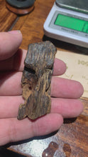 Load and play video in Gallery viewer, Old Indian agarwood for collection