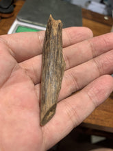 Load image into Gallery viewer, Old west Malaysian agarwood for collection - uthaiagarwood
