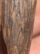 Load image into Gallery viewer, Old west Malaysian agarwood for collection - uthaiagarwood
