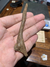 Load image into Gallery viewer, Old west Malaysian agarwood for collection - uthaiagarwood
