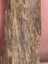Load image into Gallery viewer, Old west Malaysian agarwood for collection - uthaiagarwood
