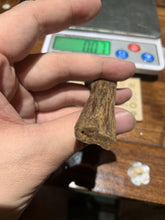 Load image into Gallery viewer, Old Cambodia agarwood for collection - uthaiagarwood
