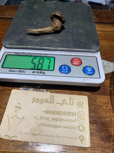 Old East Malaysian agarwood for collection - uthaiagarwood