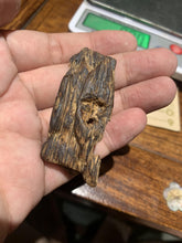 Load image into Gallery viewer, Old Indian agarwood for collection - uthaiagarwood
