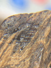 Load image into Gallery viewer, Old Indian agarwood for collection - uthaiagarwood
