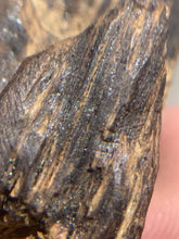 Load image into Gallery viewer, Old Indian agarwood for collection - uthaiagarwood
