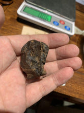 Load image into Gallery viewer, Old Indian agarwood for collection - uthaiagarwood
