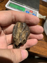 Load image into Gallery viewer, Old Indian agarwood for collection - uthaiagarwood
