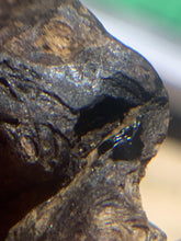 Load image into Gallery viewer, Old Indian agarwood for collection - uthaiagarwood
