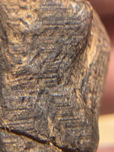 Load image into Gallery viewer, Old Indian agarwood for collection - uthaiagarwood
