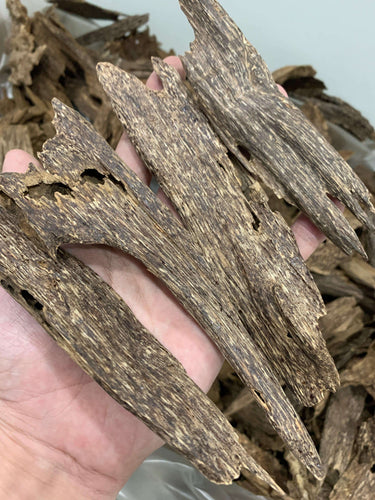 Double Super Wild Southern Thailand Agarwood - uthaiagarwood