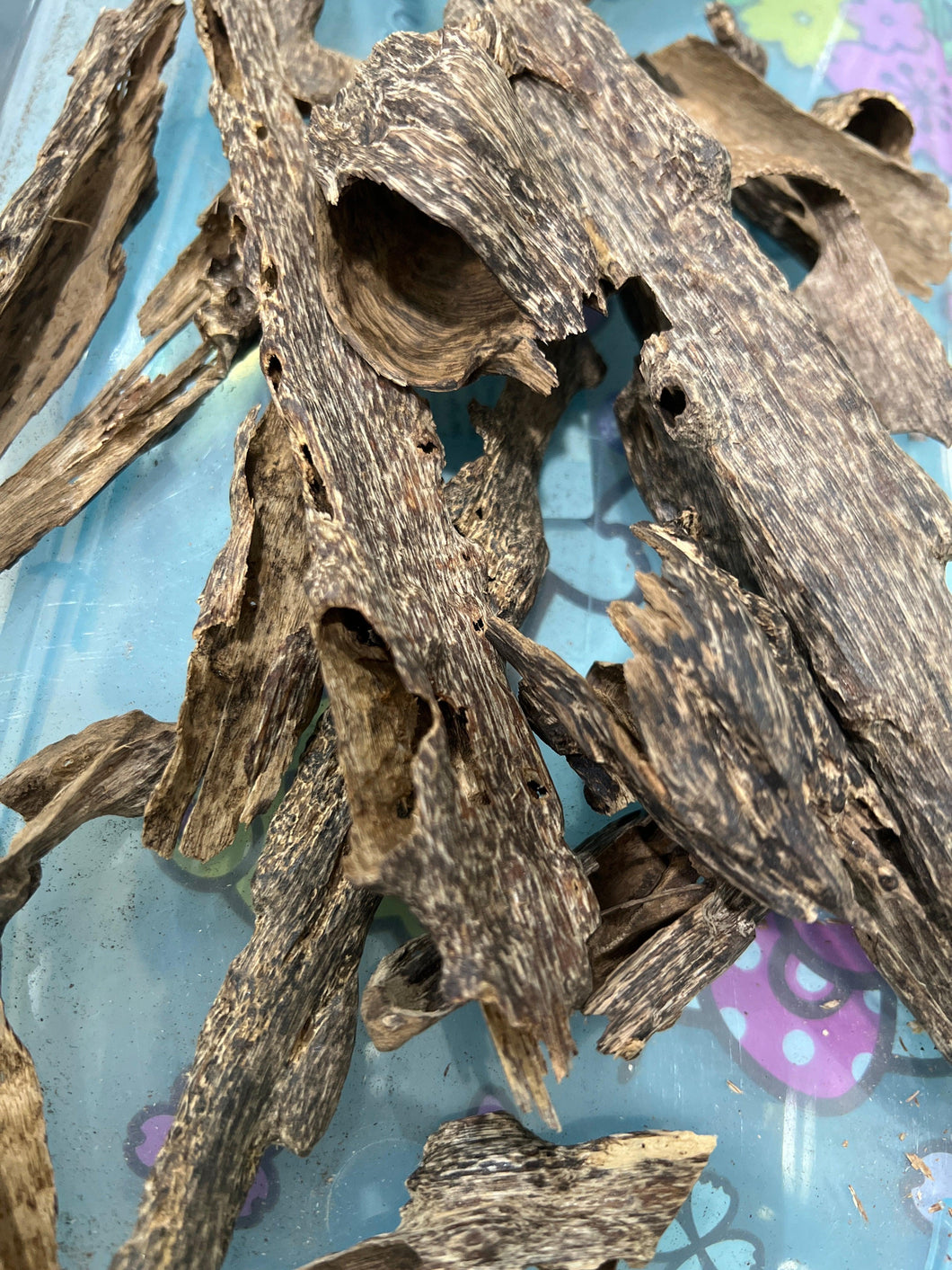 Natural Ant agarwood from Thailand Khaoyai - uthaiagarwood